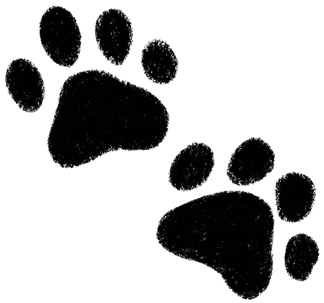 A hand drawn illustration of my dog Cooper’s paws