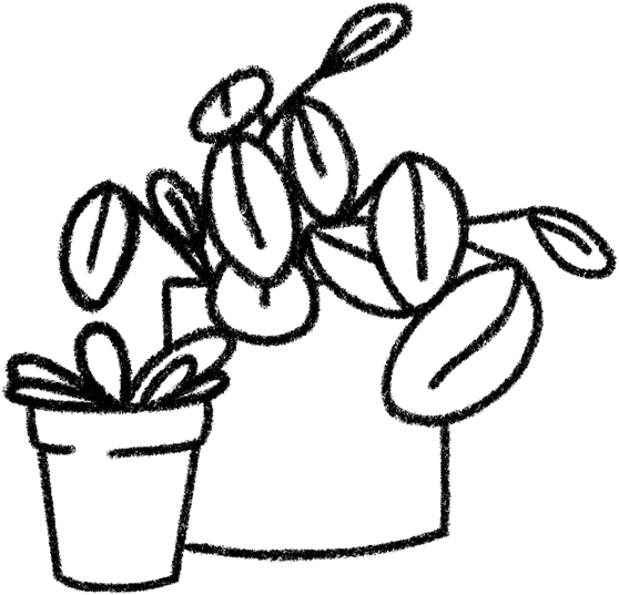 A hand drawn illustration of a prayer plant